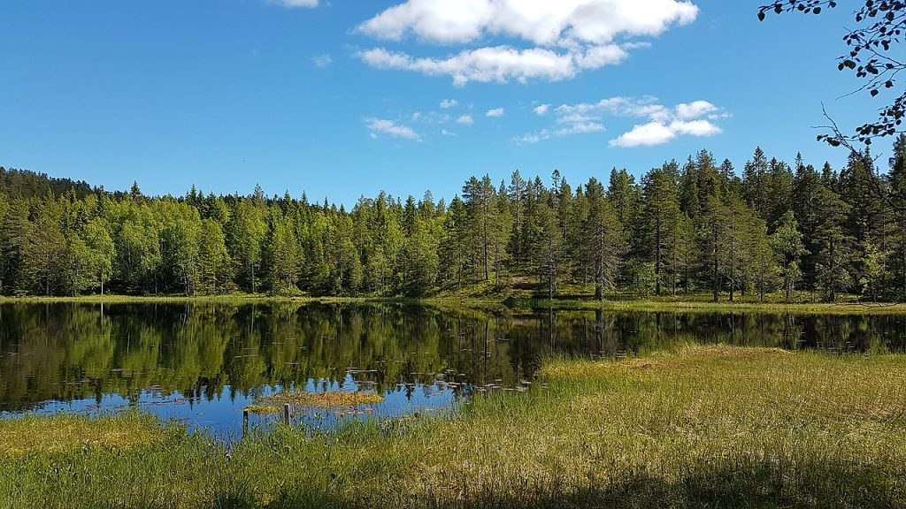 Skrattaborrtjärnen i Skuleskogens nationalpark
