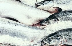 Åtgärder för hållbart fiske: En analys av trålgränsens utflyttning i Östersjön